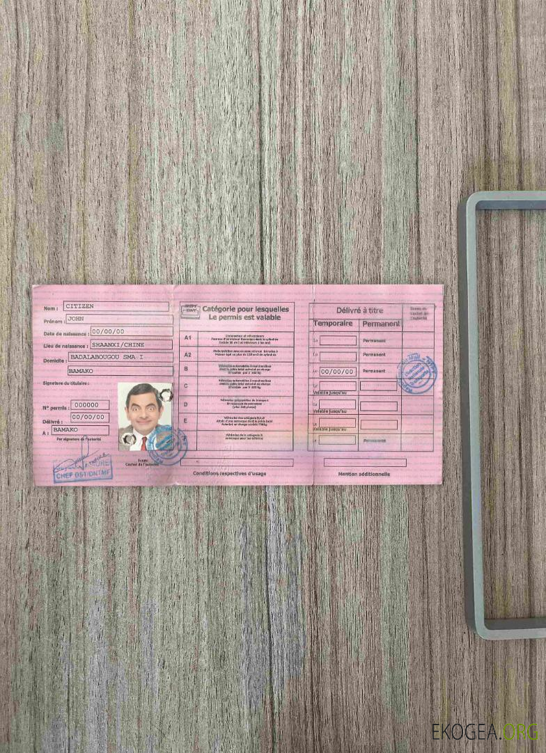 Mali DL photolook 1 template